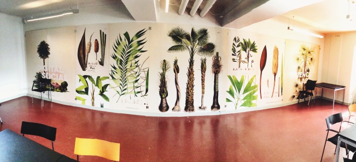 18378594670_56e6eed461_o (1)