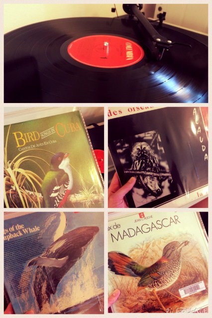 21891835801_b19d178996_o