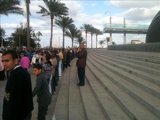 library_custom-f02c64aca9e833668e12c1a72f5d911f2eb9f686-s800-c85